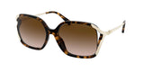 COACH HC8280U L1116