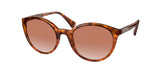 RALPH RA5273