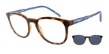 ARNETTE AN4289 MOMOS