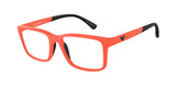 EMPORIO ARMANI EA3203